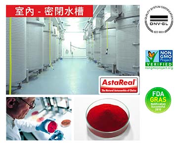 AstaReal® 美國原材料，澳洲製造。AstaReal® 是世界排名第一的安全天然蝦青素品牌